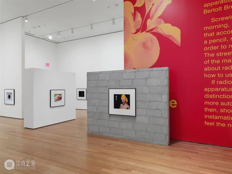 克里斯托弗·威廉姆斯(Christopher Williams)| 卓纳艺术家简介 卓纳画廊DavidZwirner 崇真艺客
